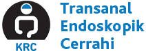 Transanal Endoskopik Cerrahi Logo